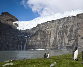 為什么南極有綠洲