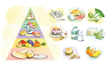 促進(jìn)大腦發(fā)育的食物