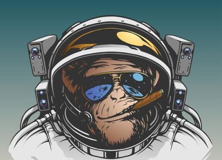 為什么用猴子作為太空實驗動物？