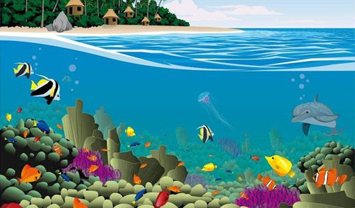 魚為什么能在水里游？