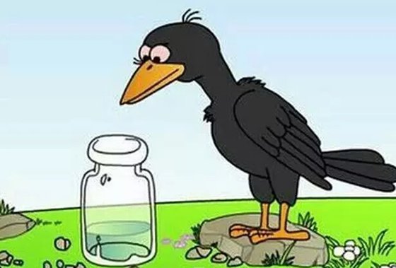為什么說烏鴉是最聰明的鳥？