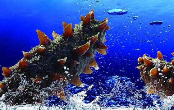 為什么有些動物要休眠,動物冬眠的原因