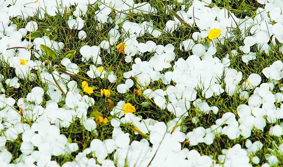 為什么夏天會(huì)下冰雹,冰雹產(chǎn)生原因及預(yù)防措施