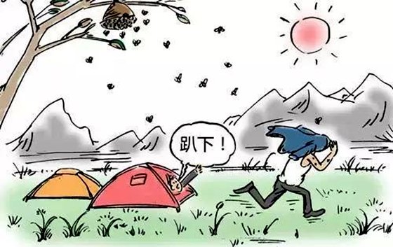 為什么蜜蜂蟄過(guò)人后會(huì)死