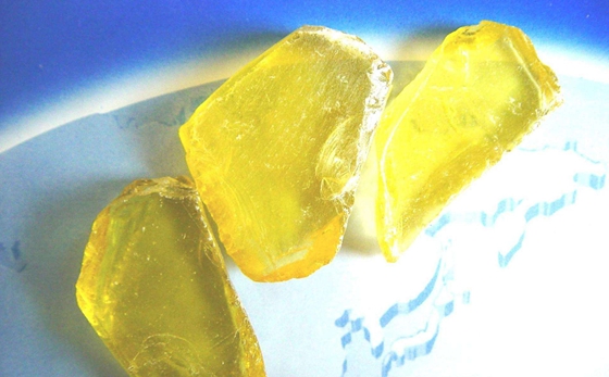 為什么松樹會產(chǎn)生松脂