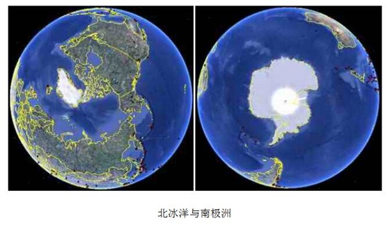 南極和北極有植物嗎？