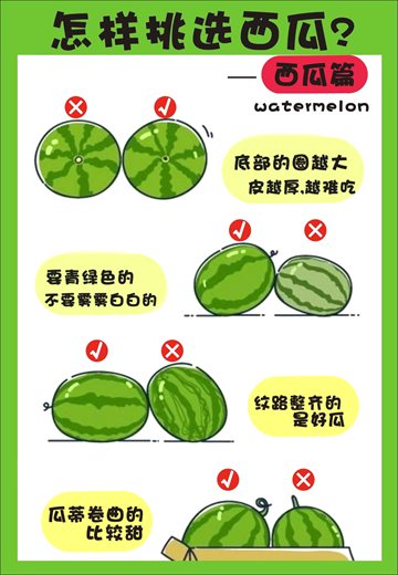 西瓜為什么叫西瓜,西瓜名字的由來(lái)
