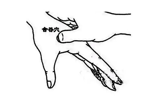 為什么有的人容易出汗,愛(ài)出汗的人是什么體質(zhì)