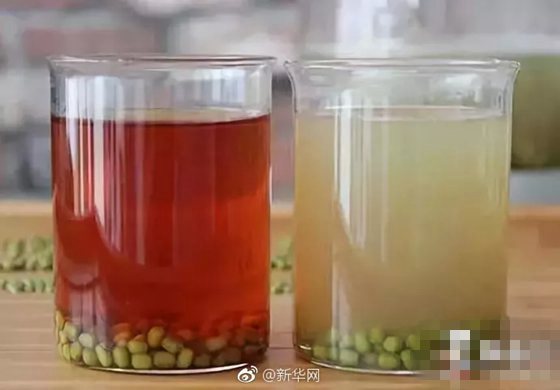 為什么綠豆不能做豆?jié){,綠豆做不成豆?jié){的原因