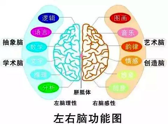 為什么大多數(shù)人用右手寫字,為什么外國人用左手寫字的多