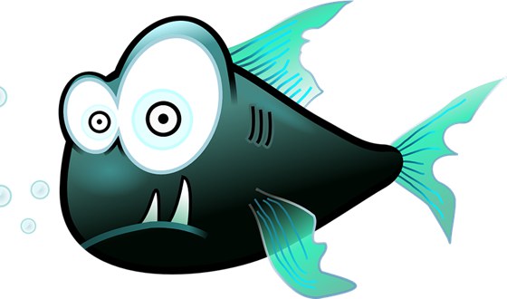 為什么魚不眨眼睛,魚為什么沒(méi)有眼皮