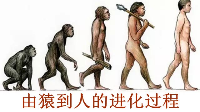 人的大拇指為什么只有兩節(jié),拇指怎么只有兩個(gè)關(guān)節(jié)