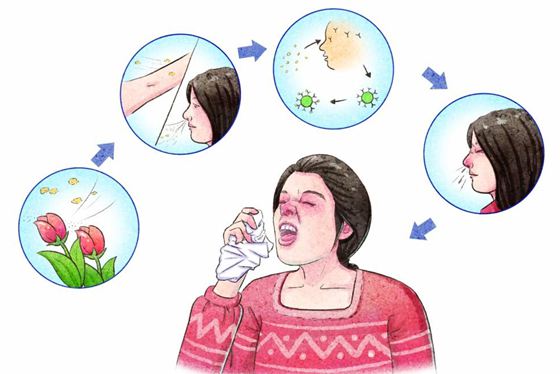 為什么看著太陽就會(huì)打噴嚏,對(duì)著太陽看打噴嚏是怎么回事