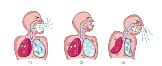 為什么看著太陽就會(huì)打噴嚏,對(duì)著太陽看打噴嚏是怎么回事