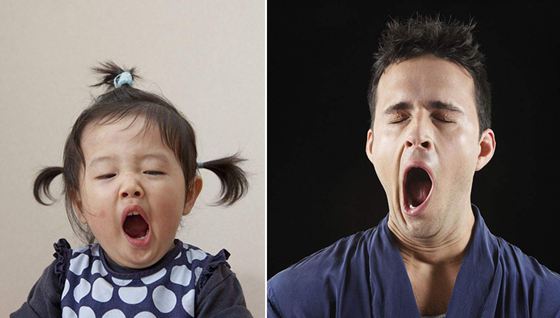 打哈欠為什么會傳染,打哈欠傳染是什么效應(yīng)