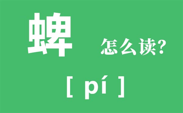 蜱怎么讀_蜱蟲是什么_蜱是什么意思？