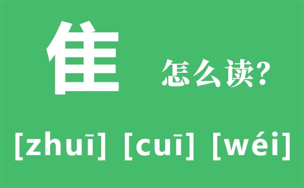 隹怎么讀,隹的拼音,隹字是什么意思