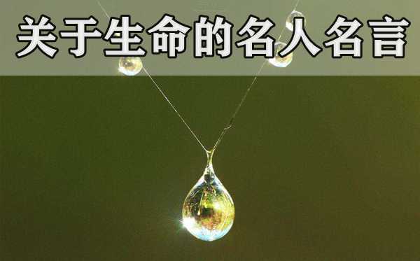 關(guān)于生命的名人名言