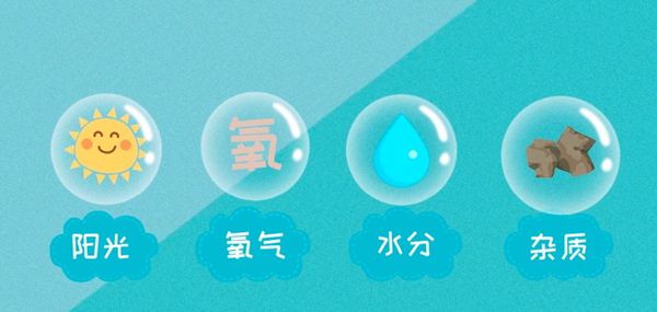 為什么白鞋洗完會(huì)變黃,白鞋洗完變黃的原因