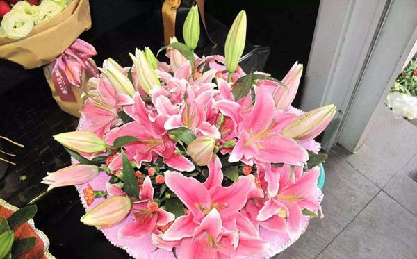 百合花的花語(yǔ)是什么,百合花花語(yǔ)大全