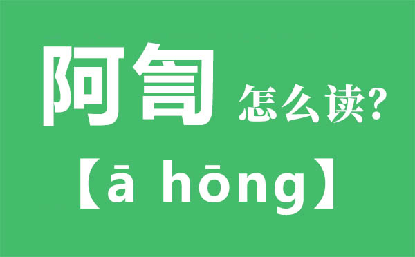 阿訇怎么讀,阿訇的拼音,阿訇是什么意思