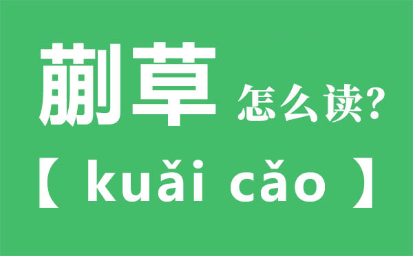 蒯草怎么讀,蒯草的拼音,蒯草是什么意思