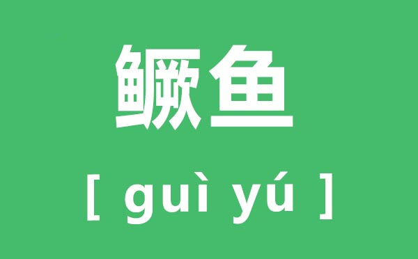 鱖魚怎么讀,鱖魚的鱖拼音,鱖魚和桂魚的區(qū)別