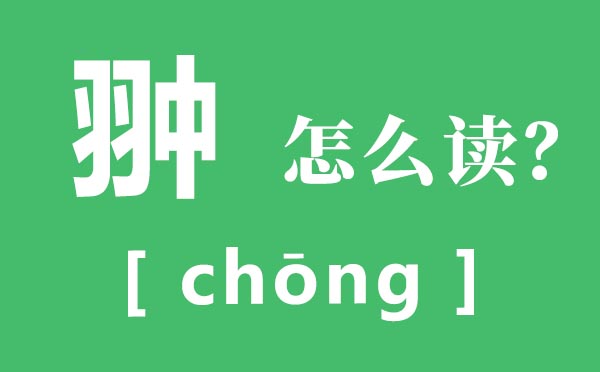 翀?jiān)趺醋x,翀的讀音,孛術(shù)魯翀?jiān)募胺g