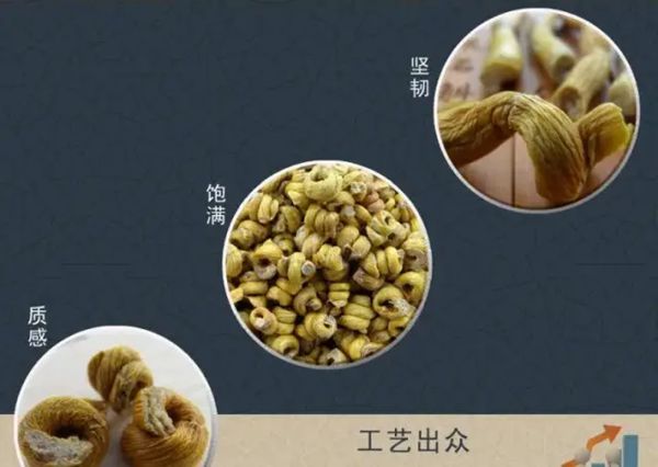 為什么石斛排名九大仙草之首,石斛的功效與作用