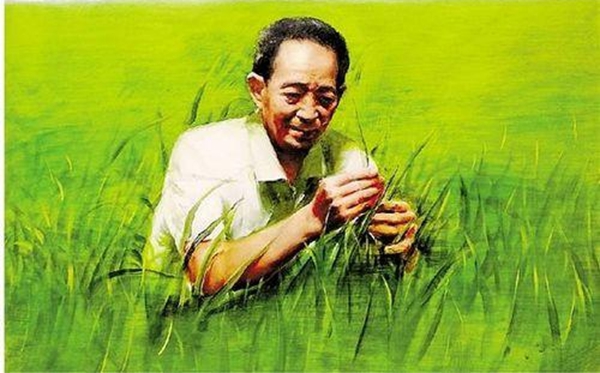 給袁隆平爺爺?shù)囊环庑?00字作文學(xué)生范文