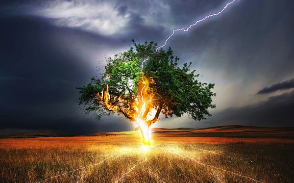 為什么打雷不能躲在樹(shù)下,為什么打雷不能看電視和玩手機(jī)