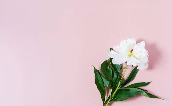 讓人大徹大悟受用一生的勵(lì)志語(yǔ)錄50句