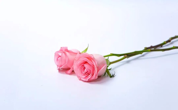 很精辟的朋友圈說說勵(lì)志句子50句