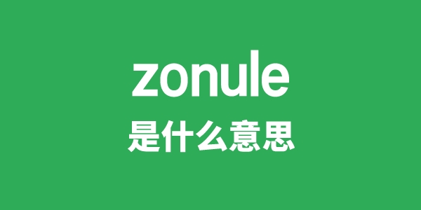 zonule是什么意思