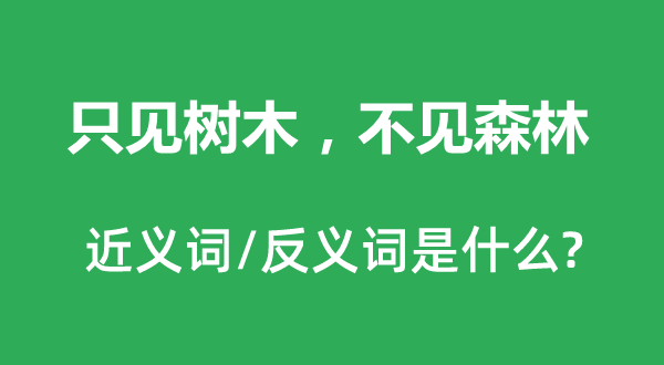 只見樹木，不見森林的近義詞和反義詞是什么,只見樹木，不見森林是什么意思