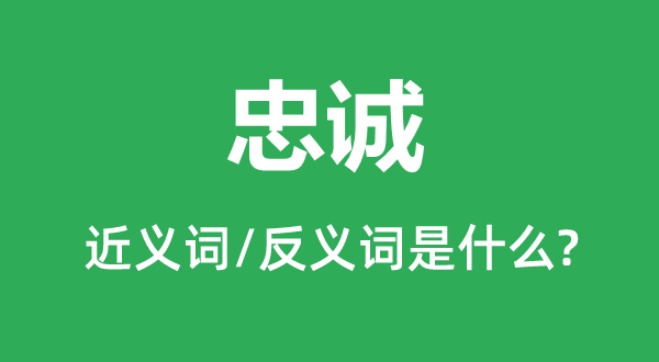 忠誠(chéng)的近義詞和反義詞是什么,忠誠(chéng)是什么意思