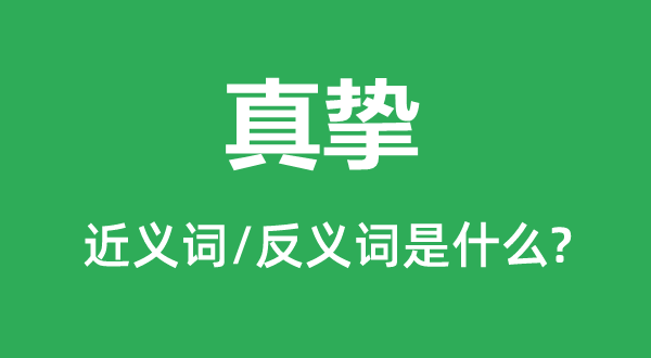 真摯的近義詞和反義詞是什么,真摯是什么意思