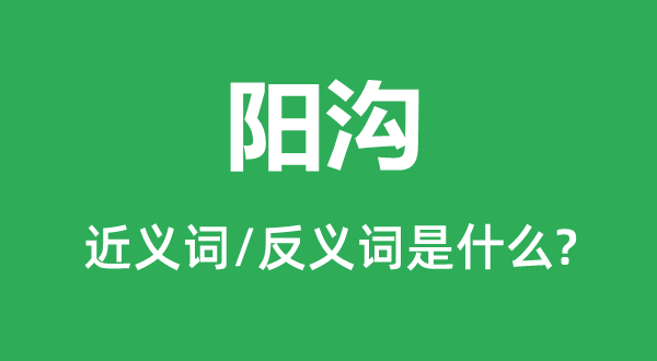 陽溝的近義詞和反義詞是什么,陽溝是什么意思