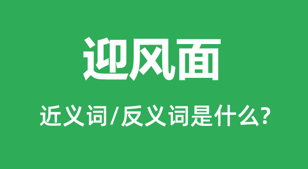 迎風(fēng)面的近義詞和反義詞是什么,迎風(fēng)面是什么意思
