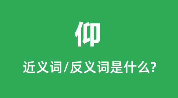 仰的近義詞和反義詞是什么,仰是什么意思
