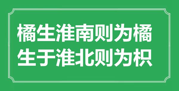 “橘生淮南則為橘，生于淮北則為枳”的意思出處及全文賞析