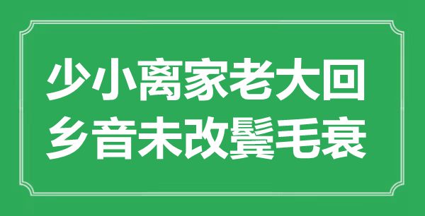 “少小離家老大回，鄉(xiāng)音未改鬢毛衰”的意思是什么,出處是哪首詩