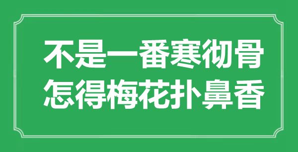 “不是一番寒徹骨，怎得梅花撲鼻香”是什么意思,出處是哪里
