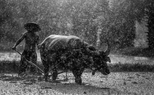 勞動節(jié)是幾月幾日,五一勞動節(jié)的來歷和意義