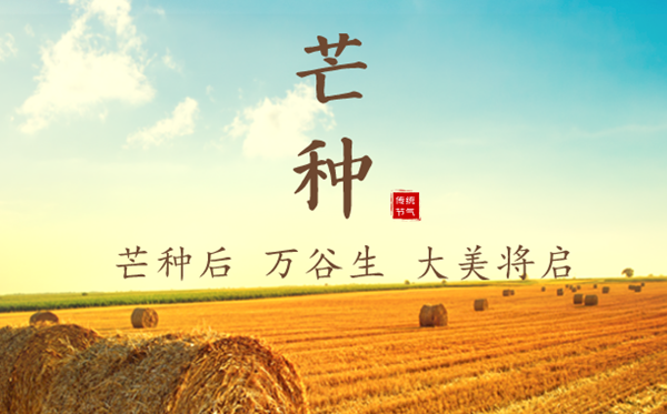 2023年芒種是幾月幾日幾點(diǎn),芒種的含義是什么意思