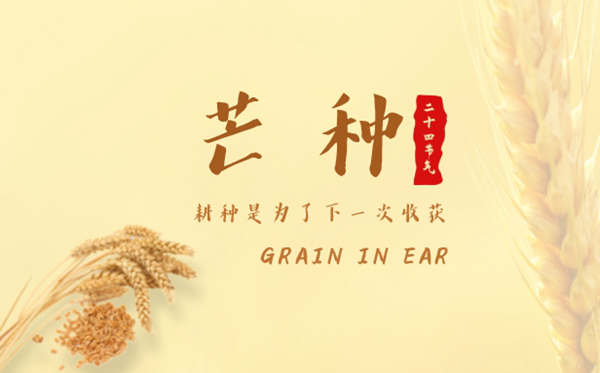 2023年芒種是幾月幾日幾點(diǎn),芒種的含義是什么意思