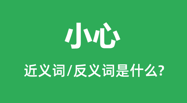 小心的近義詞和反義詞是什么,小心是什么意思