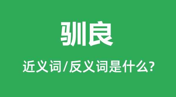馴良的近義詞和反義詞是什么,馴良是什么意思