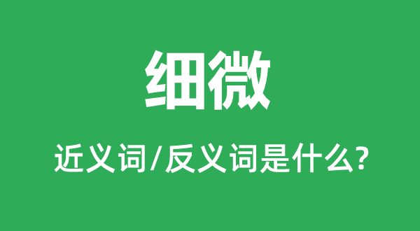 細(xì)微的近義詞和反義詞是什么,細(xì)微是什么意思