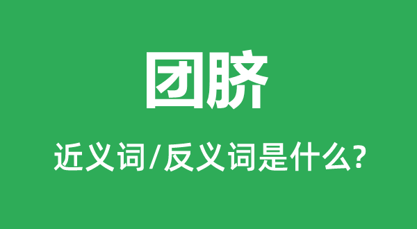 團(tuán)臍的近義詞和反義詞是什么,團(tuán)臍是什么意思